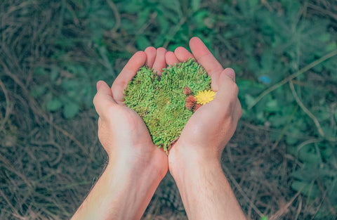 Why Sustainability Matters in the Supplement Industry