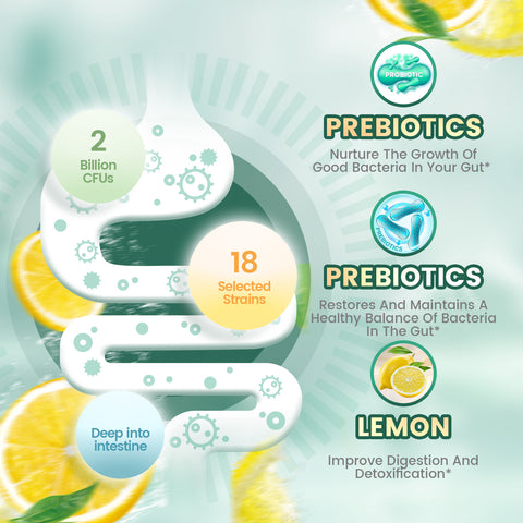 Probiotics for Digestive Health Gummies, 3 in 1 Intestinal Digestion, Contains 2 Billion CFU Probiotic, Zinc, Magnesium and Vitamin D3, Men's Probiotics for Women, Zero Sugar Non GMO 60 Gummy