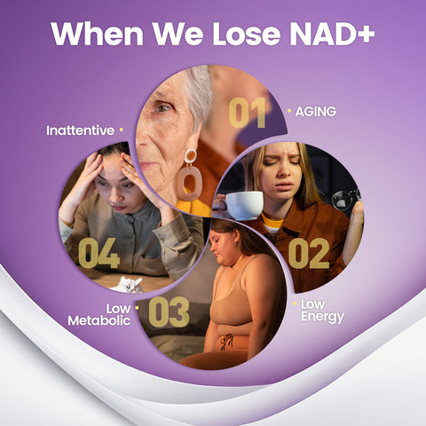 NAD Supplement, NAD+ Resveratrol Gummies 60 Count