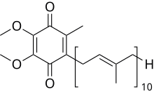 The Science of CoQ10: Supporting Heart Health and Energy Production