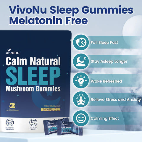 Sleep Gummies Melatonin Free with L-Theanine, Magnesium, Reishi Mushroom | Non-Habit Forming Sleep Aid | Non-GMO Sleep Support Gummies for Adults | Raspberry Flavor (60pcs)