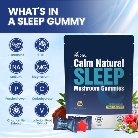 Sleep Gummies Melatonin Free with L-Theanine, Magnesium, Reishi Mushroom | Non-Habit Forming Sleep Aid | Non-GMO Sleep Support Gummies for Adults | Raspberry Flavor (60pcs)