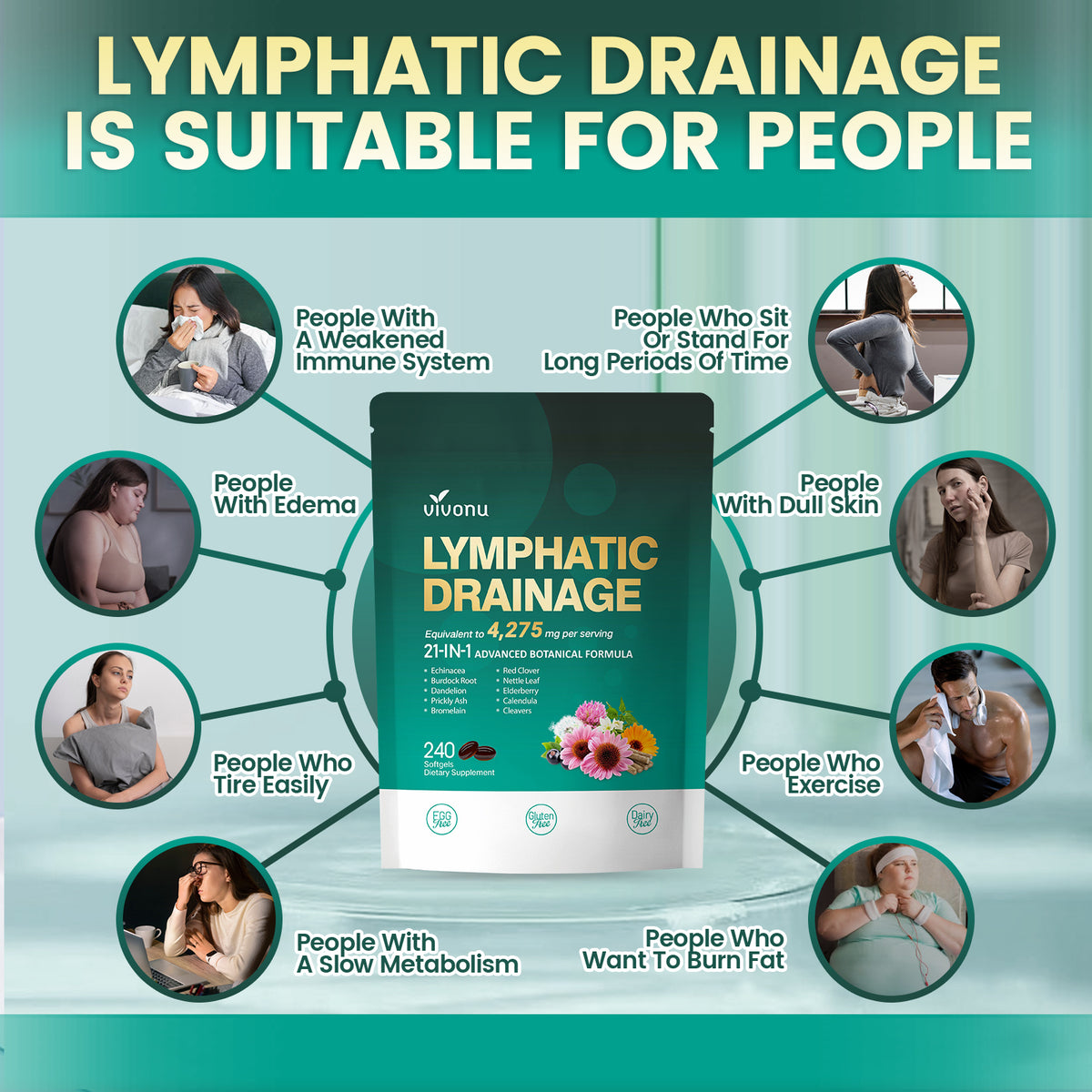 Lymphatic Drainage Supplement, 240 Softgels, 4275mg Lymph System Suppo ...