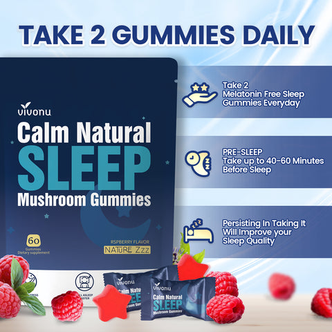 Sleep Gummies Melatonin Free with L-Theanine, Magnesium, Reishi Mushroom | Non-Habit Forming Sleep Aid | Non-GMO Sleep Support Gummies for Adults | Raspberry Flavor (60pcs)