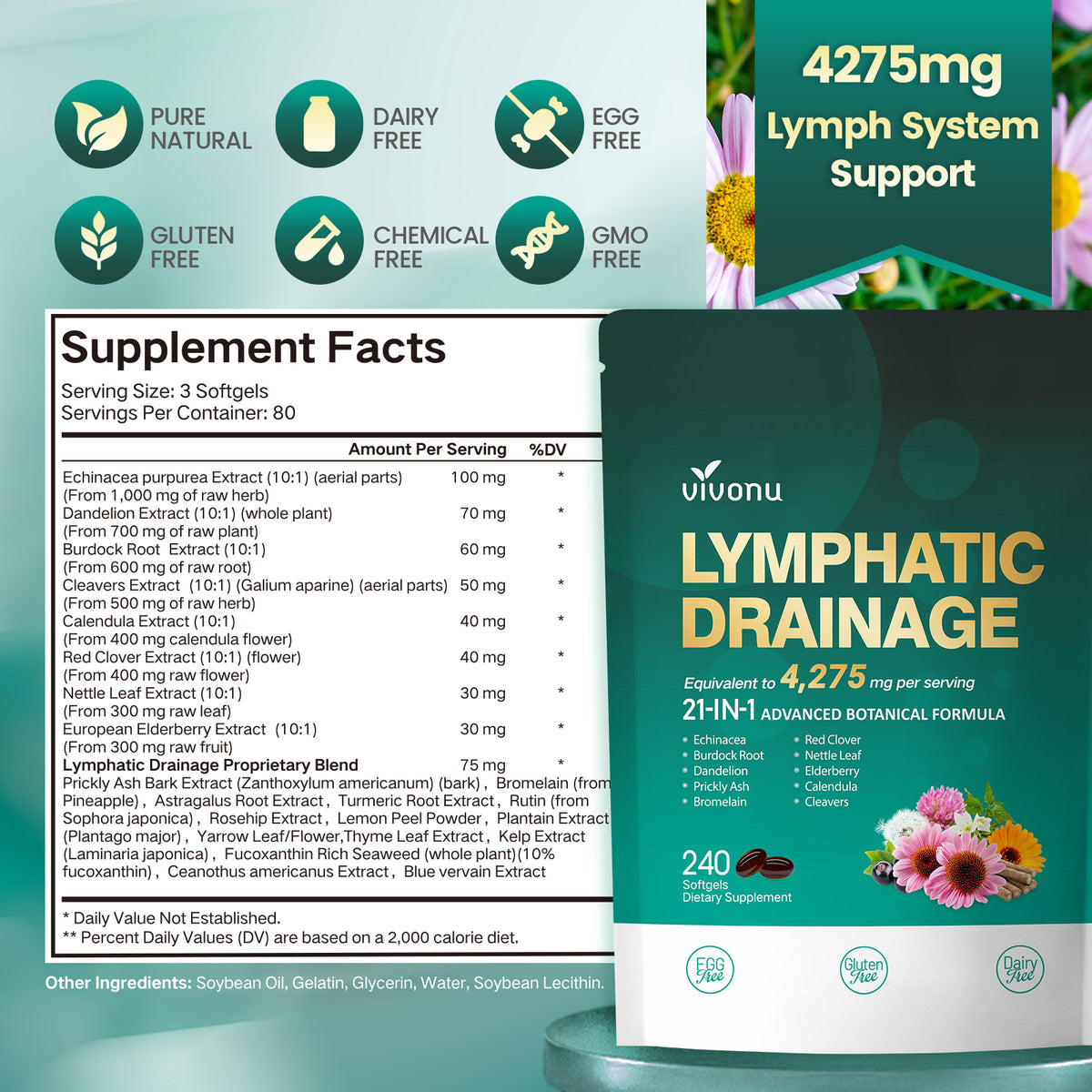 Lymphatic Drainage Supplement, 240 Softgels, 4275mg Lymph System Suppo ...