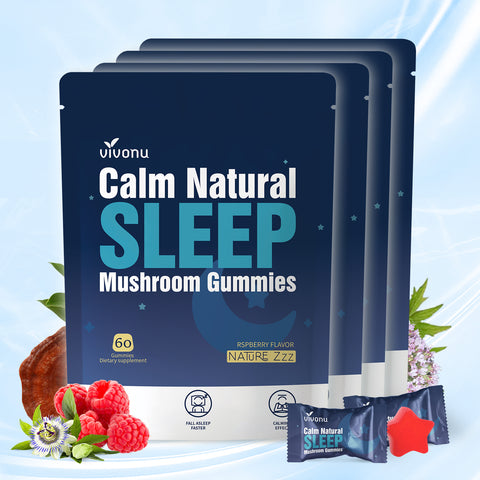 Sleep Gummies Melatonin Free with L-Theanine, Magnesium, Reishi Mushroom | Non-Habit Forming Sleep Aid | Non-GMO Sleep Support Gummies for Adults | Raspberry Flavor (60pcs)
